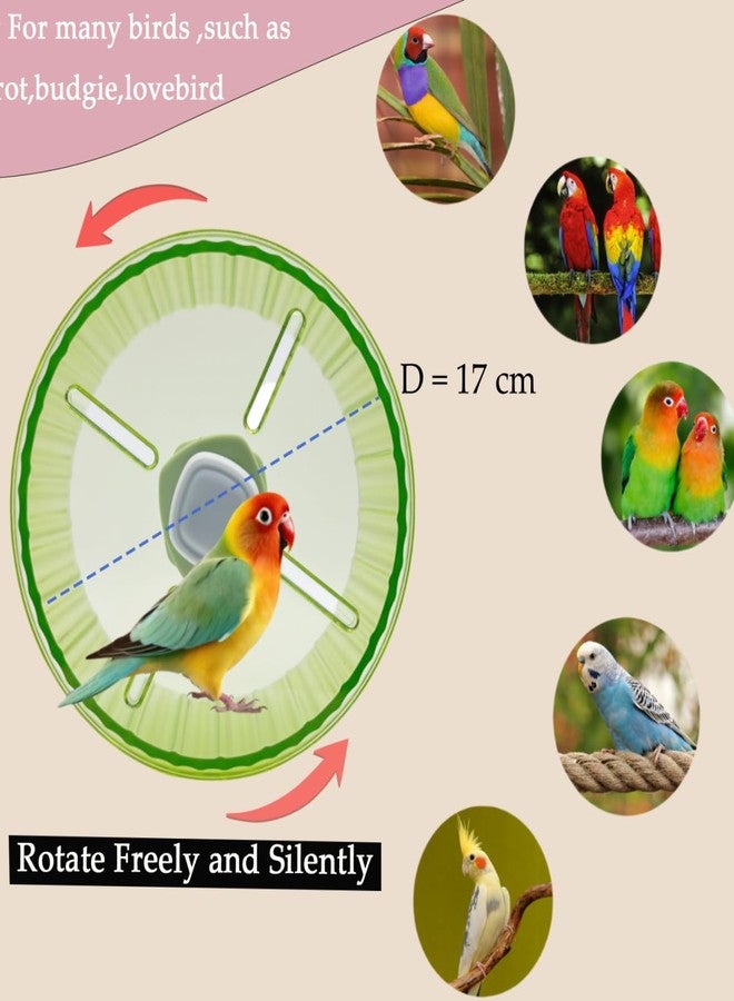 Odebyata Birds Running Wheel Exercise Toys, Parrot Hamster Exercise Wheel Toy, Quiet Running Wheel for Parrots Bird Parakeets Hamster Guinea Pig Budgie Lovebird and More (Green) - Image 2